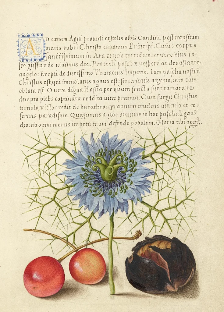 An illustration from Mira calligraphiae monumenta, 1561, leaf 128