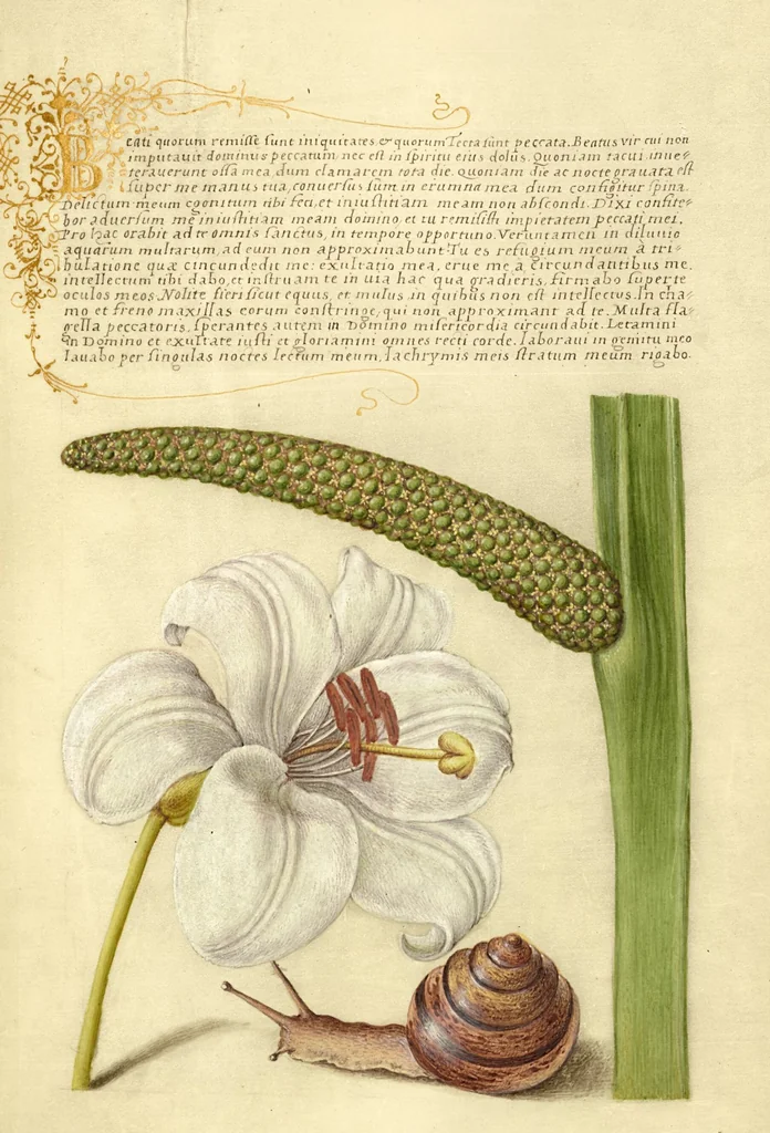 An illustration from Mira calligraphiae monumenta, 1561, leaf 129