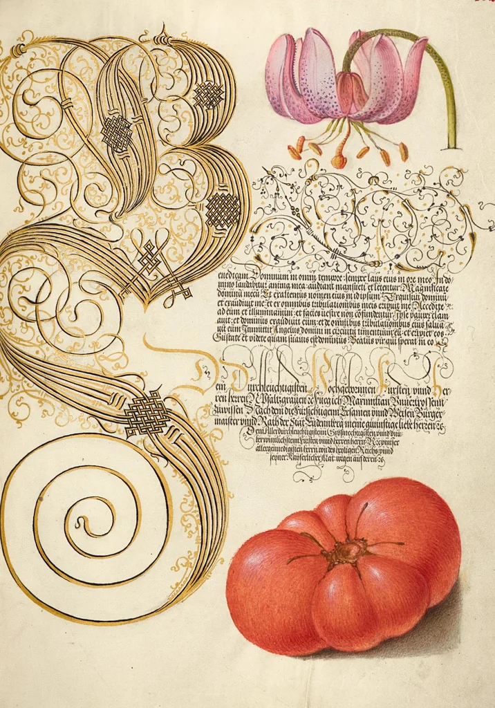 An illustration from Mira calligraphiae monumenta, 1561, leaf 131