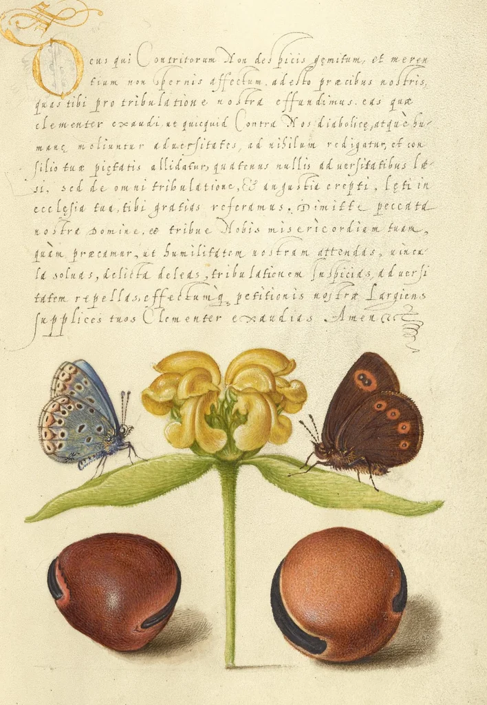 An illustration from Mira calligraphiae monumenta, 1561, leaf 136