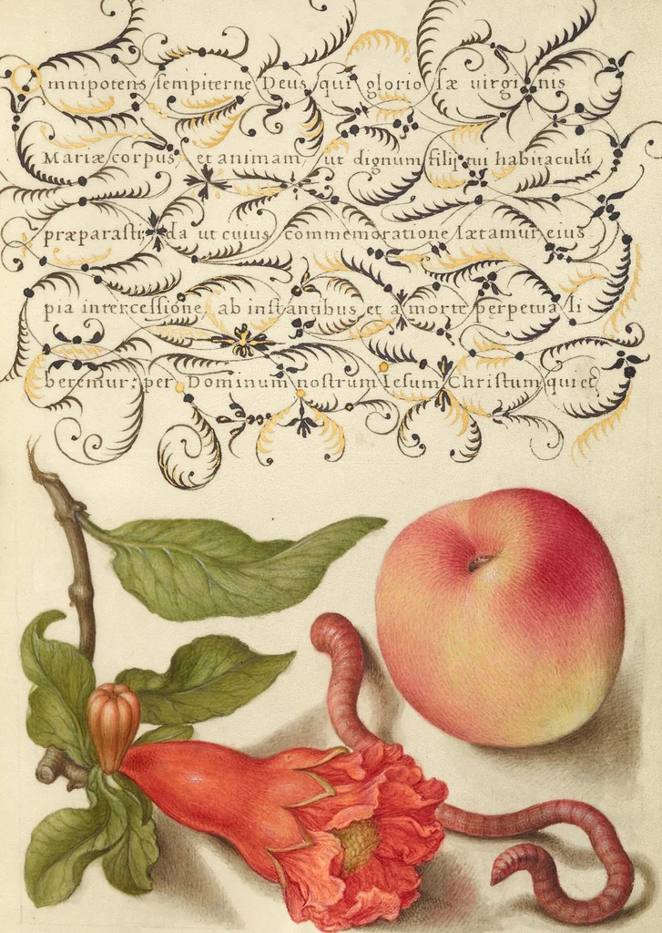 An illustration from Mira calligraphiae monumenta, 1561, leaf 145