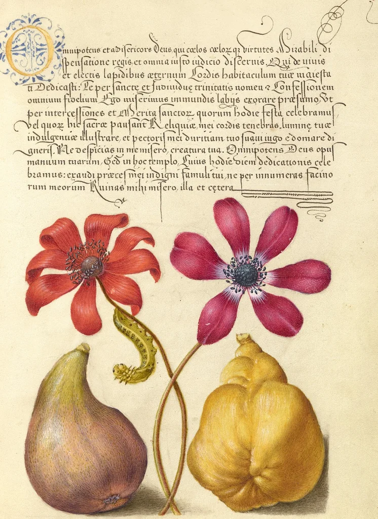 An illustration from Mira calligraphiae monumenta, 1561, leaf 146