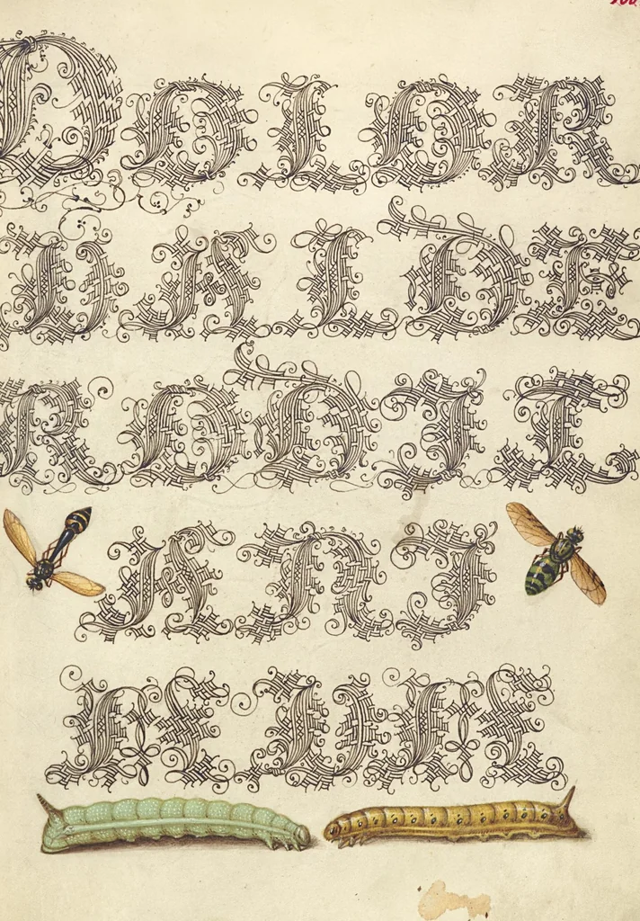 An illustration from Mira calligraphiae monumenta, 1561, leaf 147