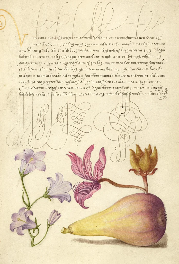 An illustration from Mira calligraphiae monumenta, 1561, leaf 149
