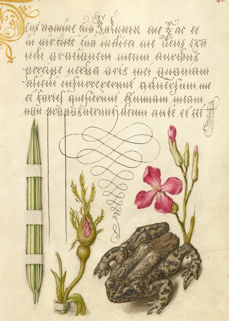 An illustration from Mira calligraphiae monumenta, 1561, leaf 150