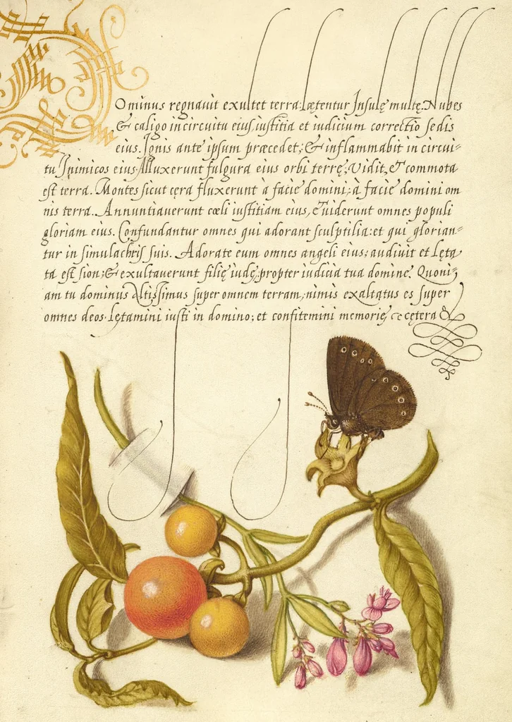 An illustration from Mira calligraphiae monumenta, 1561, leaf 151