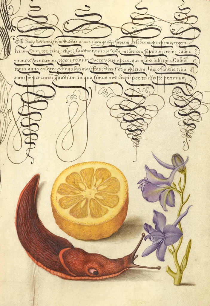 An illustration from Mira calligraphiae monumenta, 1561, leaf 156