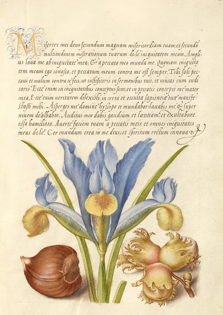 An illustration from Mira calligraphiae monumenta, 1561, leaf 157