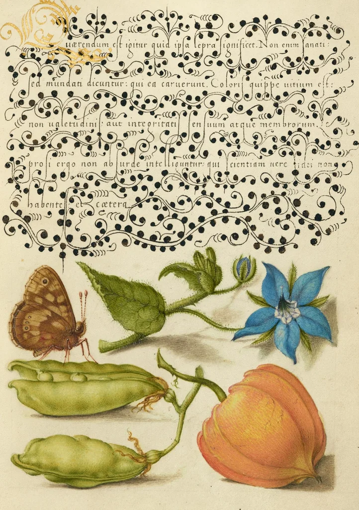 An illustration from Mira calligraphiae monumenta, 1561, leaf 158