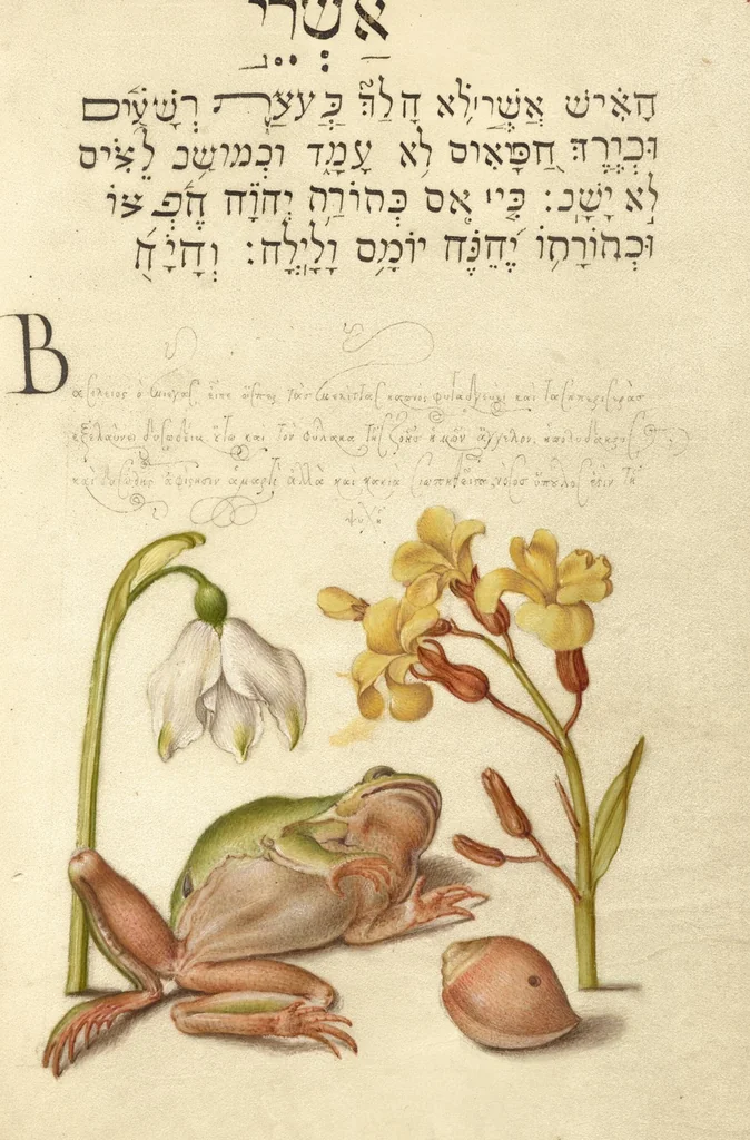 An illustration from Mira calligraphiae monumenta, 1561, leaf 161
