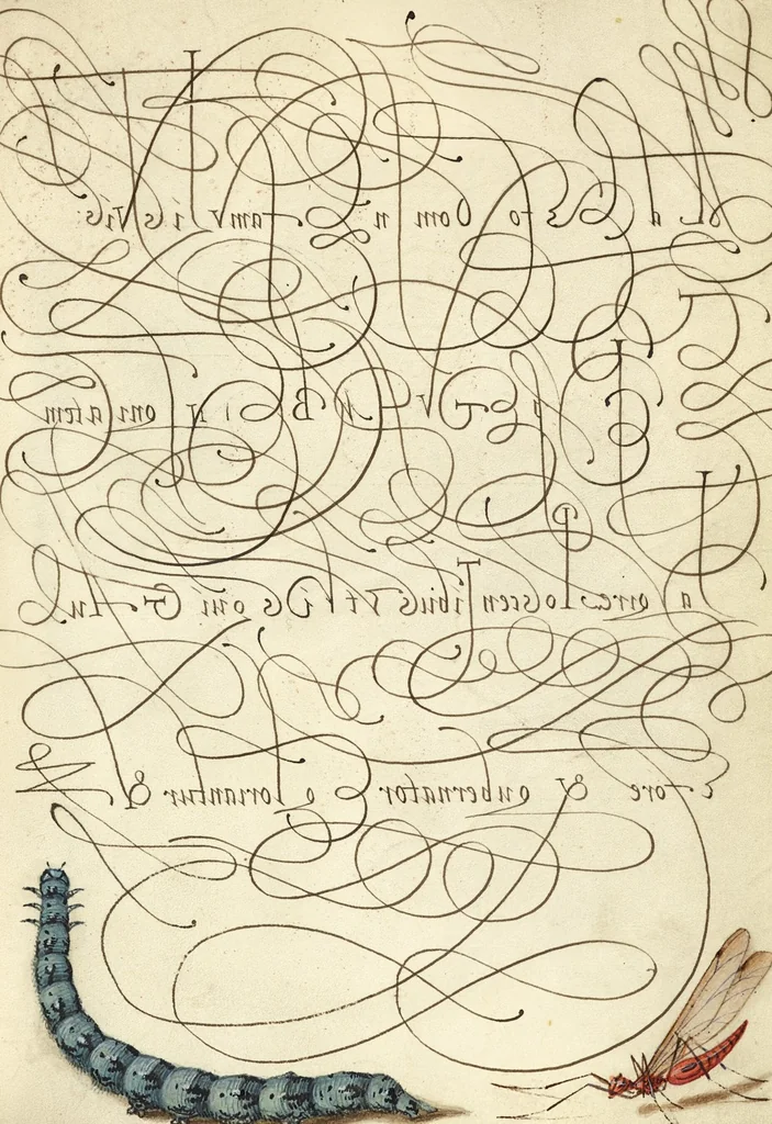 An illustration from Mira calligraphiae monumenta, 1561, leaf 17