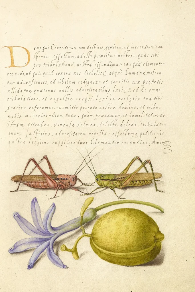 An illustration from Mira calligraphiae monumenta, 1561, leaf 181