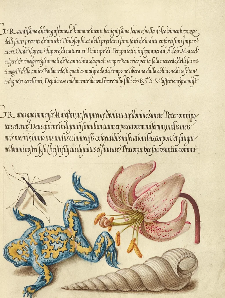 An illustration from Mira calligraphiae monumenta, 1561, leaf 182