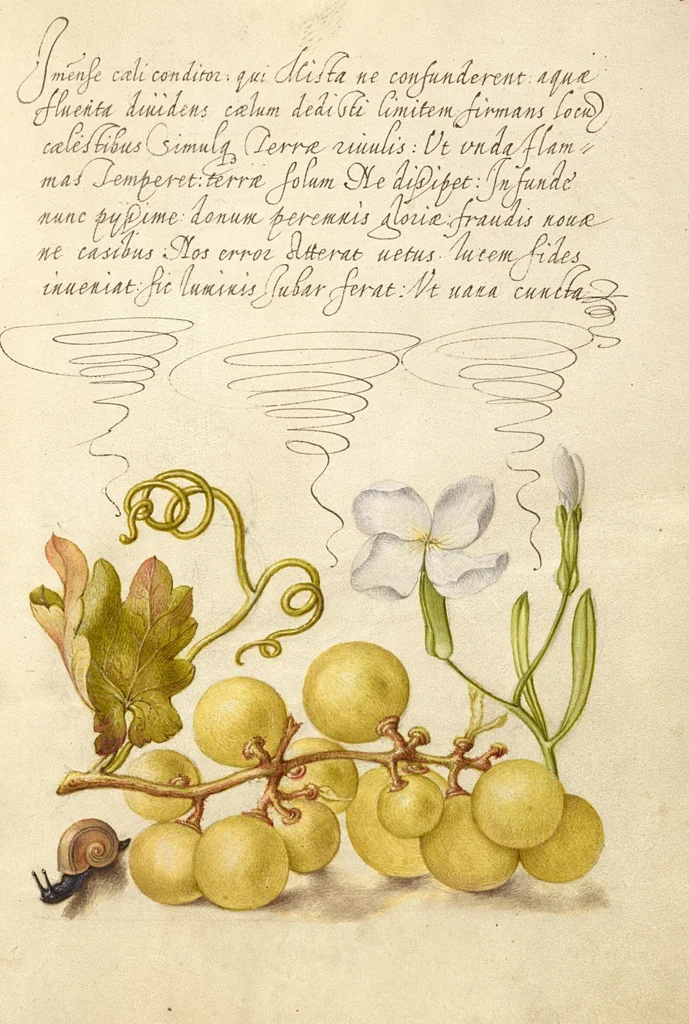 An illustration from Mira calligraphiae monumenta, 1561, leaf 184