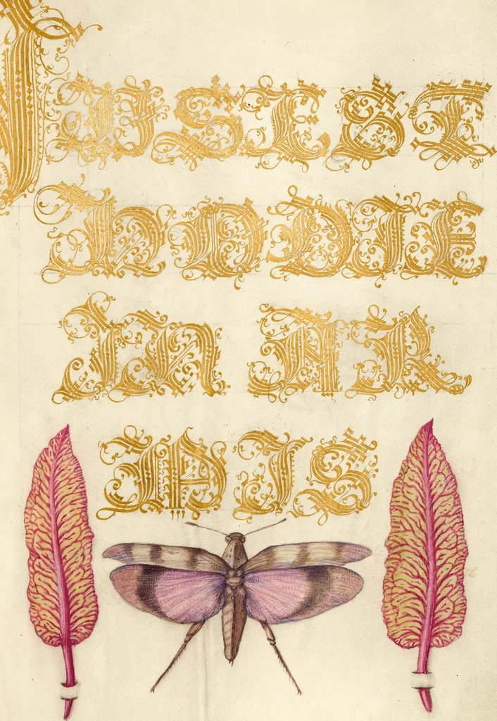 An illustration from Mira calligraphiae monumenta, 1561, leaf 23