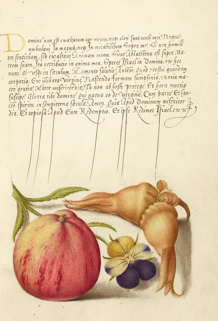 An illustration from Mira calligraphiae monumenta, 1561, leaf 25