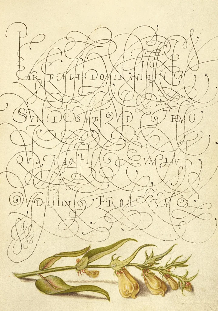 An illustration from Mira calligraphiae monumenta, 1561, leaf 27