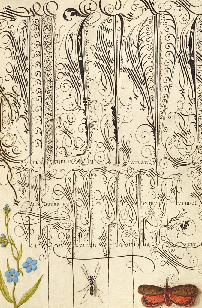 An illustration from Mira calligraphiae monumenta, 1561, leaf 30