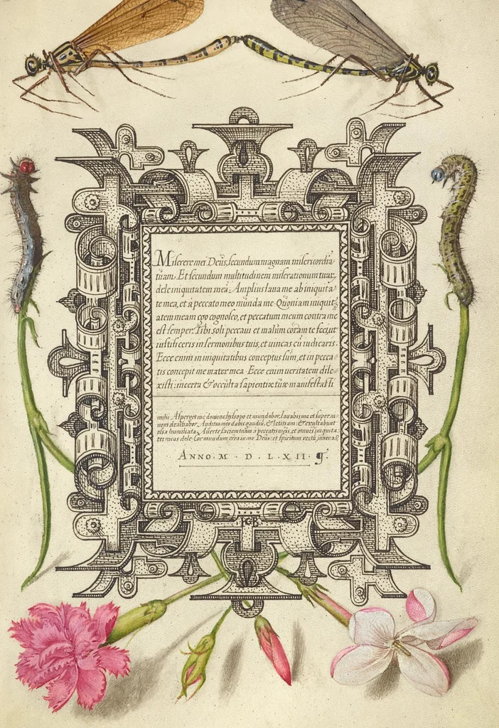 An illustration from Mira calligraphiae monumenta, 1561, leaf 35