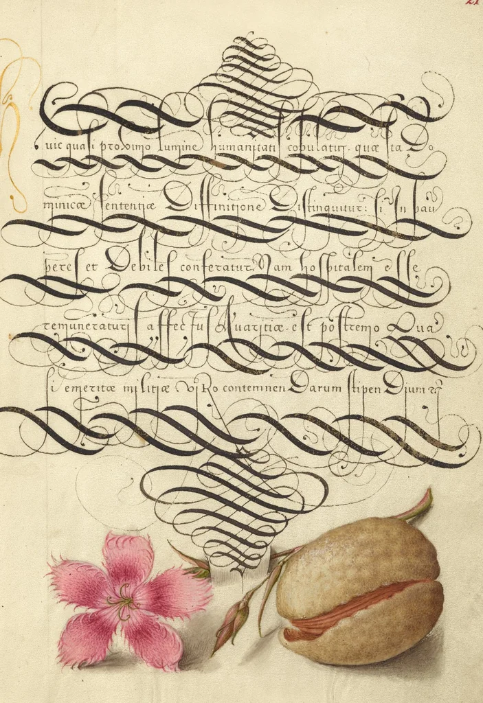 An illustration from Mira calligraphiae monumenta, 1561, leaf 41