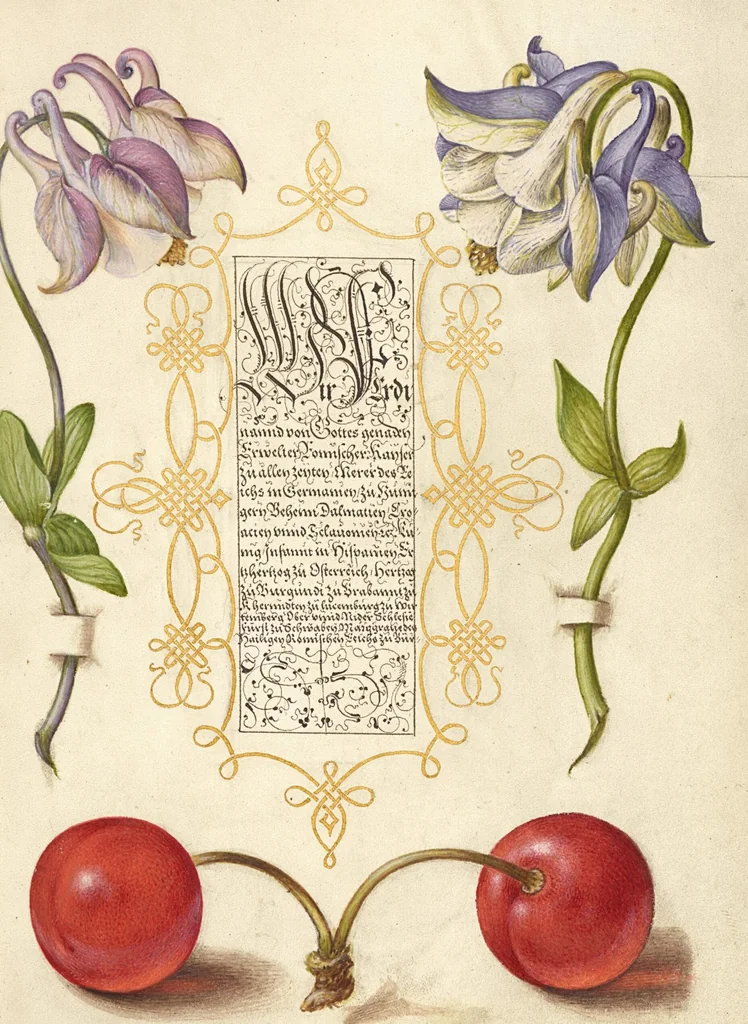 An illustration from Mira calligraphiae monumenta, 1561, leaf 44