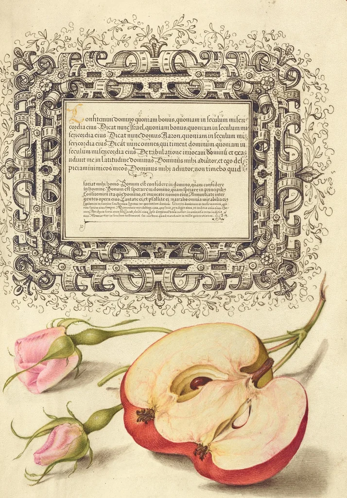 An illustration from Mira calligraphiae monumenta, 1561, leaf 51