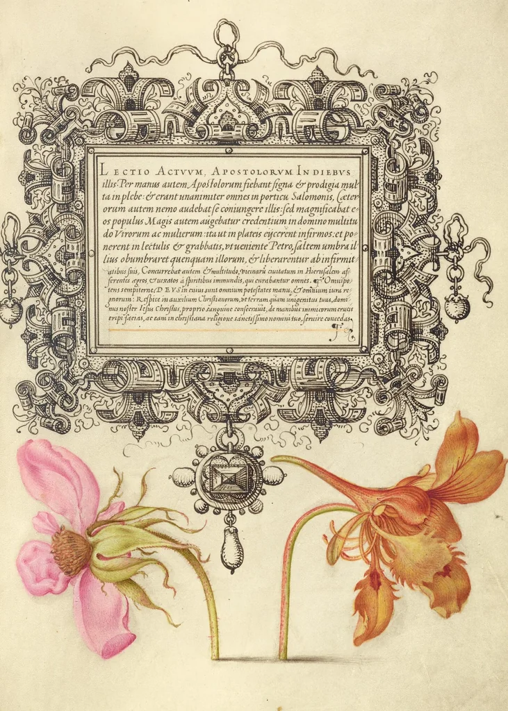 An illustration from Mira calligraphiae monumenta, 1561, leaf 52