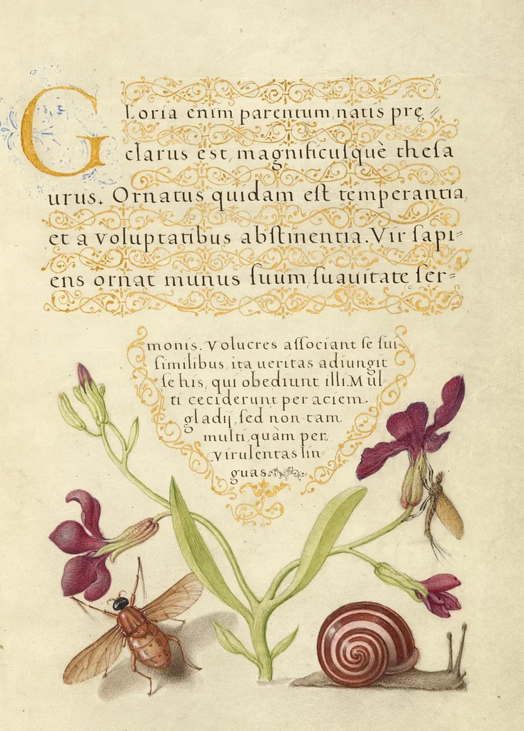 An illustration from Mira calligraphiae monumenta, 1561, leaf 57