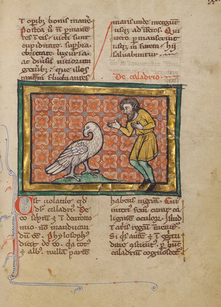 An illustration from Bestiary, 1270, leaf 4