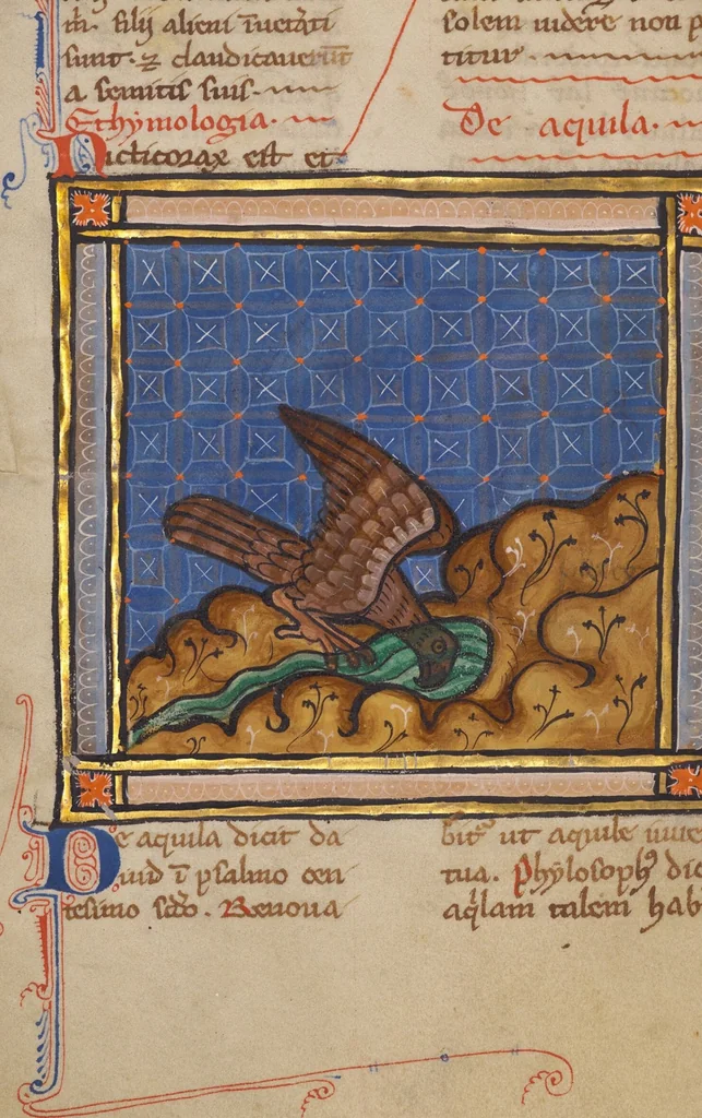 An illustration from Bestiary, 1270, leaf 50