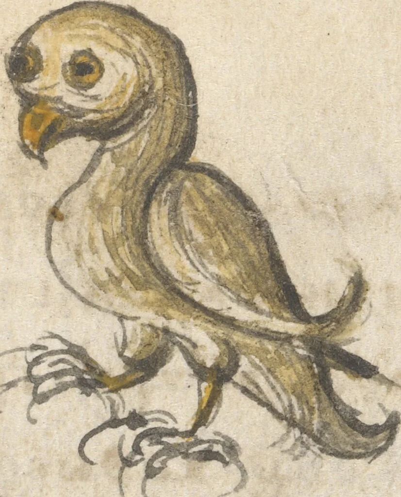 An illustration from Miscellany: Physiologus; other texts, 1510, leaf 26