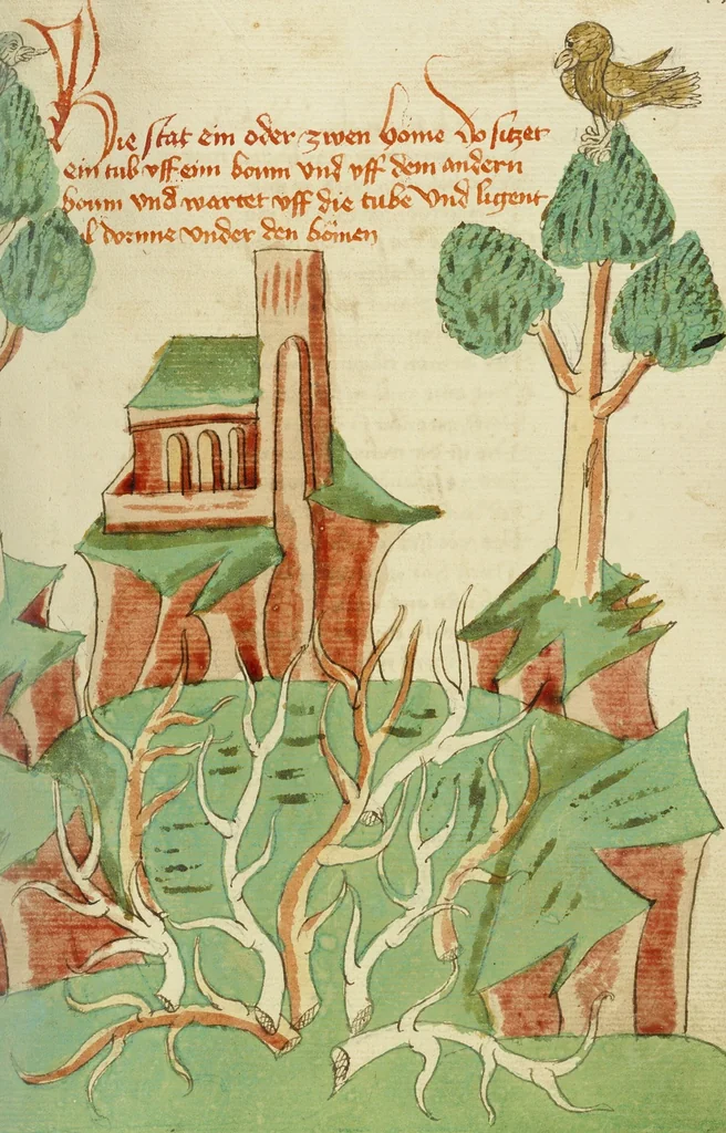 An illustration from Barlaam und Josaphat, 1469, leaf 2