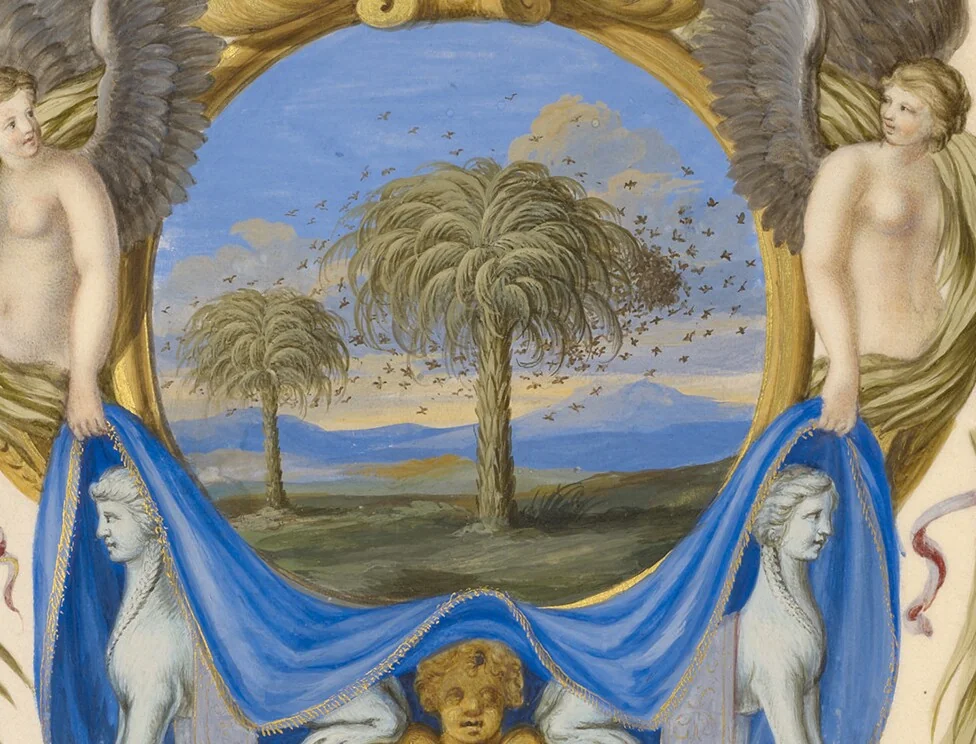 An illustration from Three Emblems for Louis XIV, 1663, leaf 4