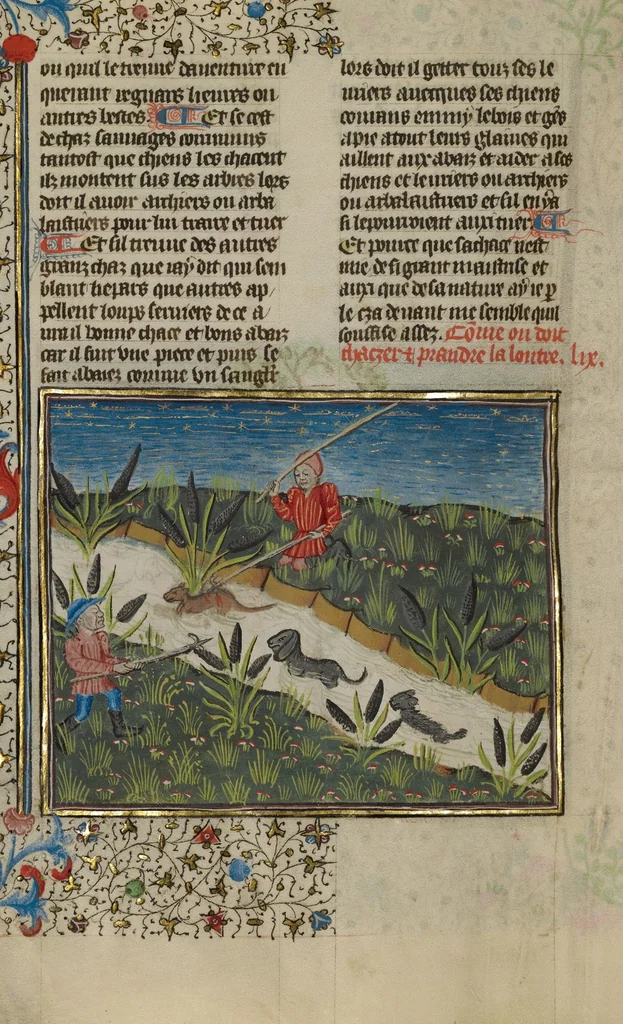 An illustration from Livre de la Chasse, 1430, leaf 13