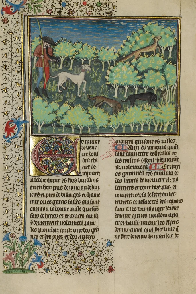 An illustration from Livre de la Chasse, 1430, leaf 18