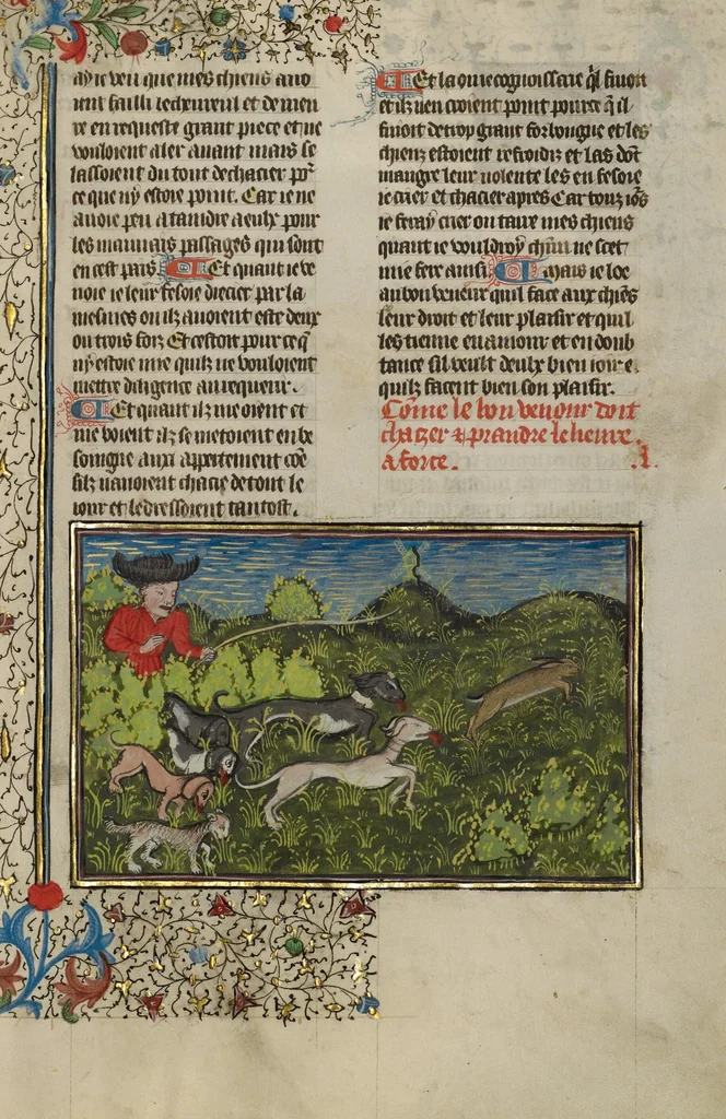 An illustration from Livre de la Chasse, 1430, leaf 19