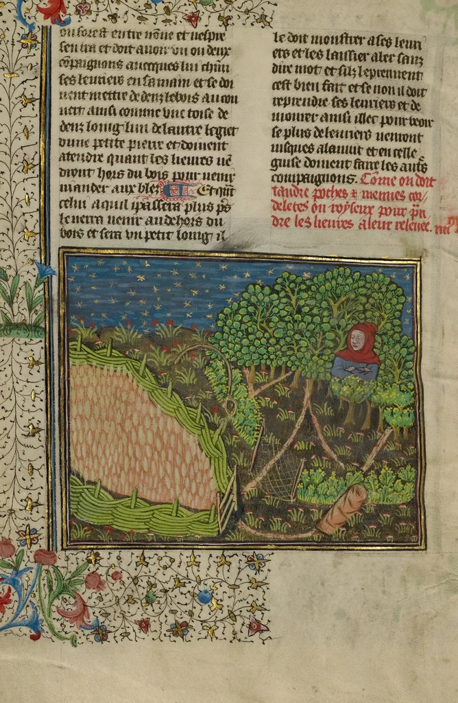 An illustration from Livre de la Chasse, 1430, leaf 24