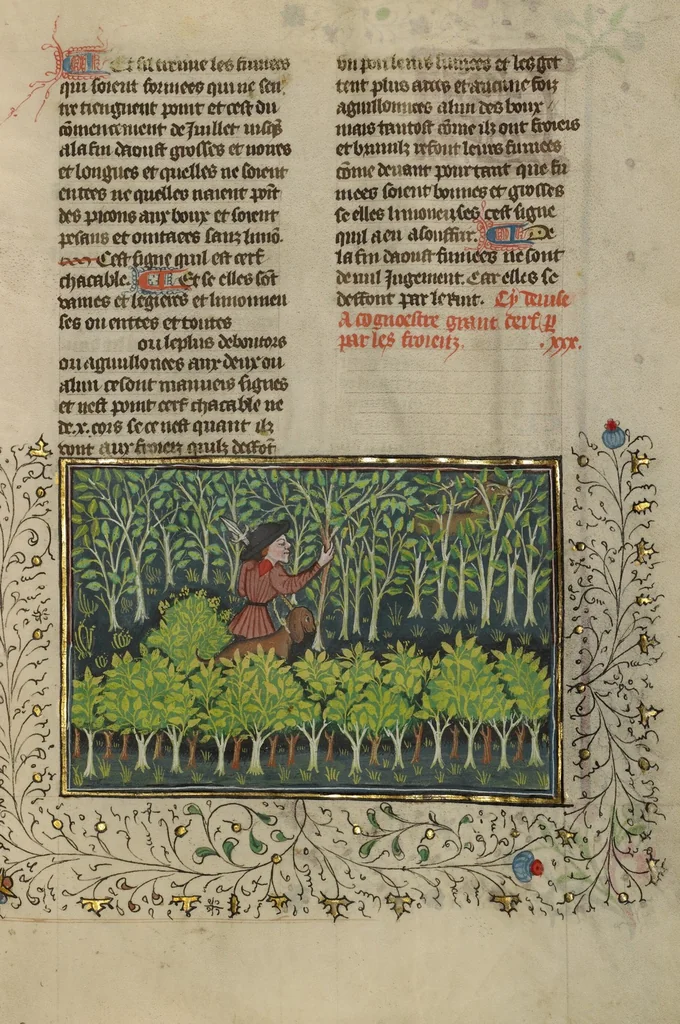 An illustration from Livre de la Chasse, 1430, leaf 25