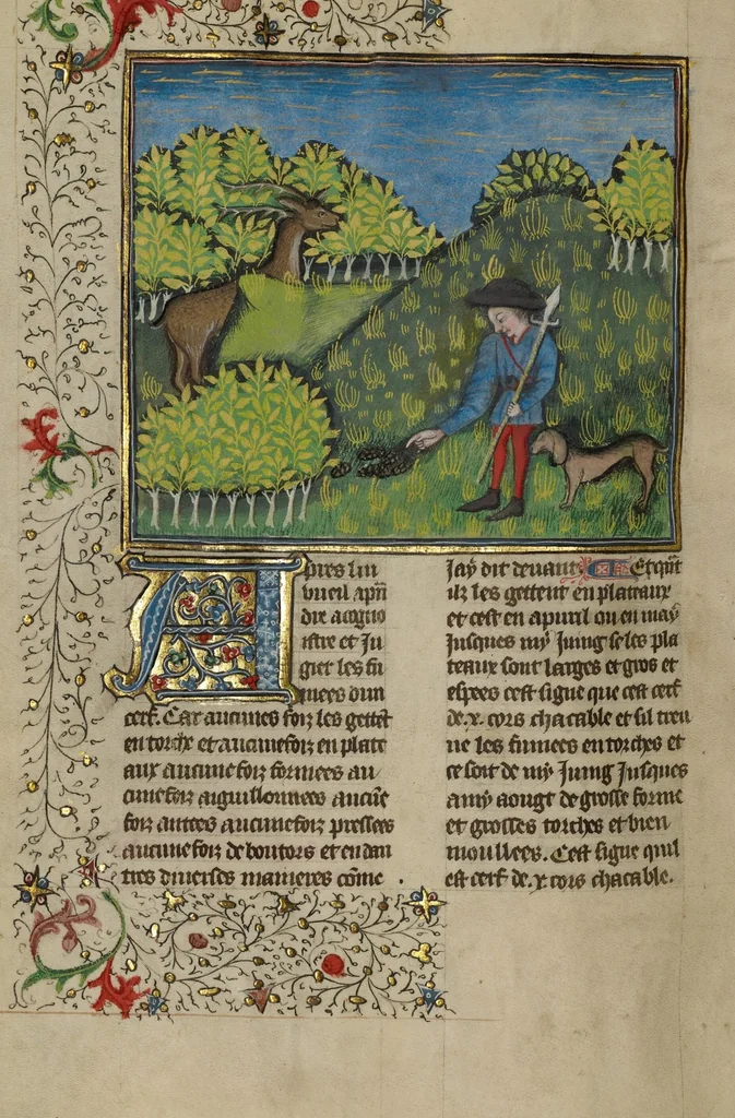 An illustration from Livre de la Chasse, 1430, leaf 26