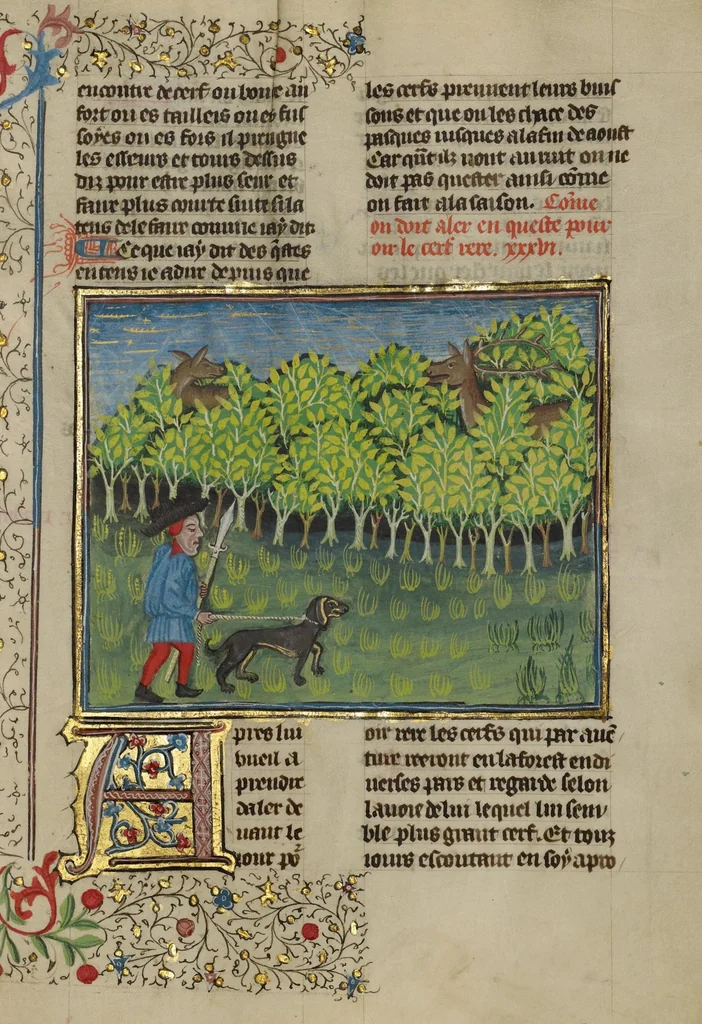 An illustration from Livre de la Chasse, 1430, leaf 27