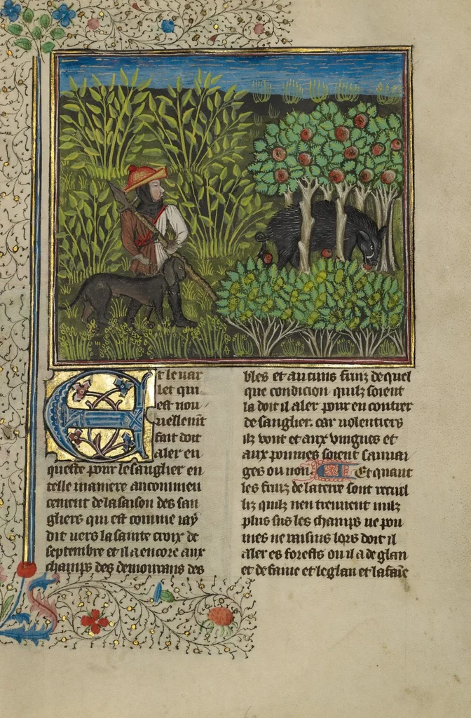 An illustration from Livre de la Chasse, 1430, leaf 28