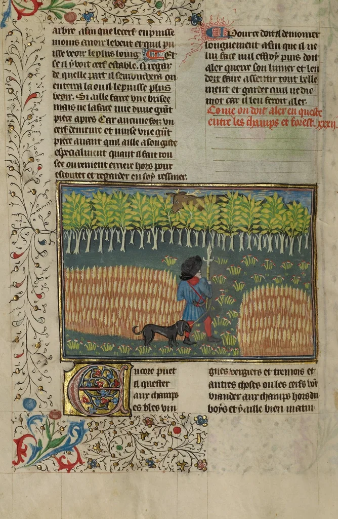 An illustration from Livre de la Chasse, 1430, leaf 29