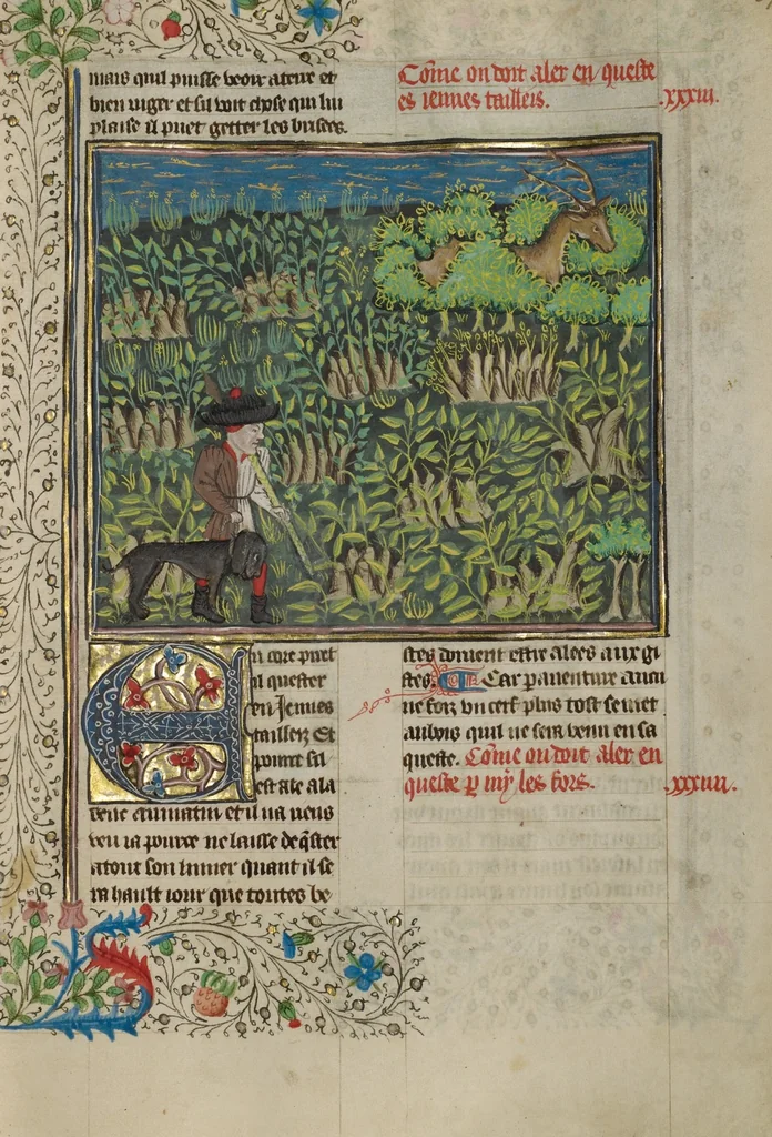 An illustration from Livre de la Chasse, 1430, leaf 30
