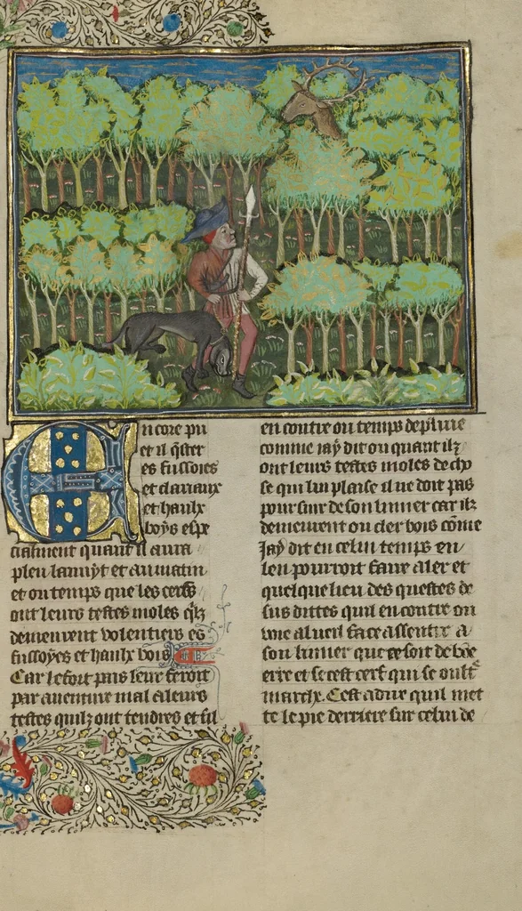 An illustration from Livre de la Chasse, 1430, leaf 31
