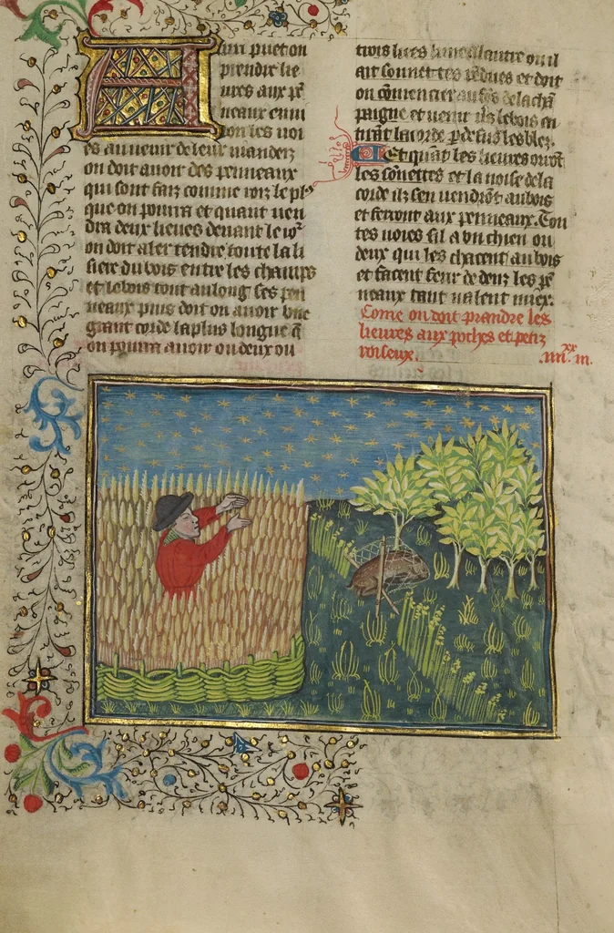 An illustration from Livre de la Chasse, 1430, leaf 33