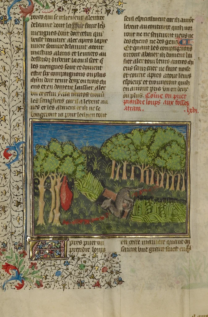 An illustration from Livre de la Chasse, 1430, leaf 36