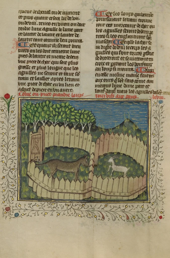 An illustration from Livre de la Chasse, 1430, leaf 37