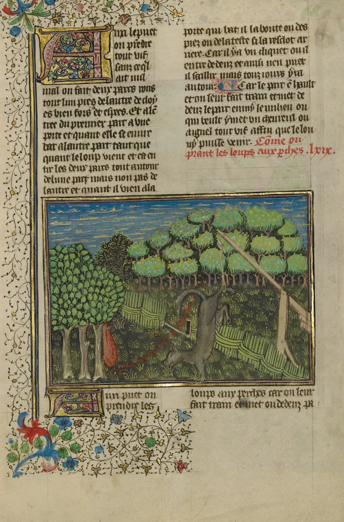 An illustration from Livre de la Chasse, 1430, leaf 38
