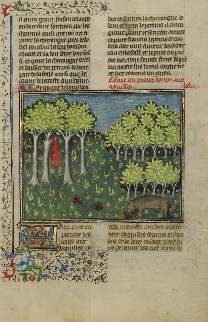 An illustration from Livre de la Chasse, 1430, leaf 39
