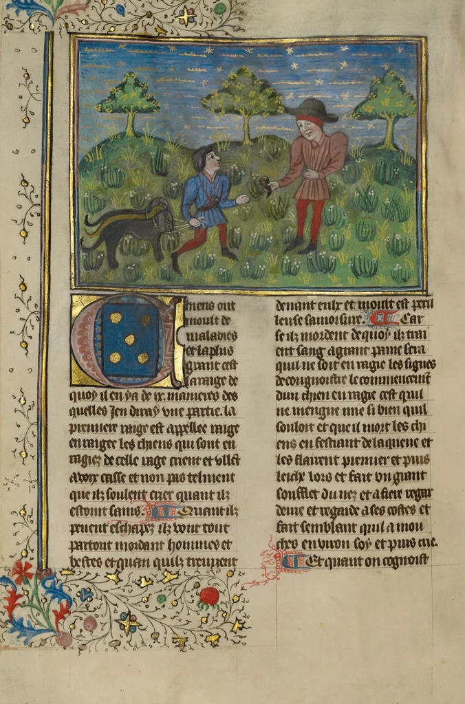 An illustration from Livre de la Chasse, 1430, leaf 4